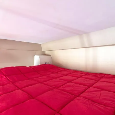Beautiful And Cozy In The Heart Of Apartment Cannes